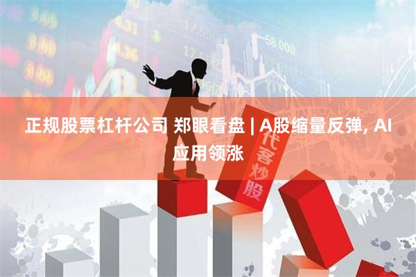 正规股票杠杆公司 郑眼看盘 | A股缩量反弹, AI应用领涨