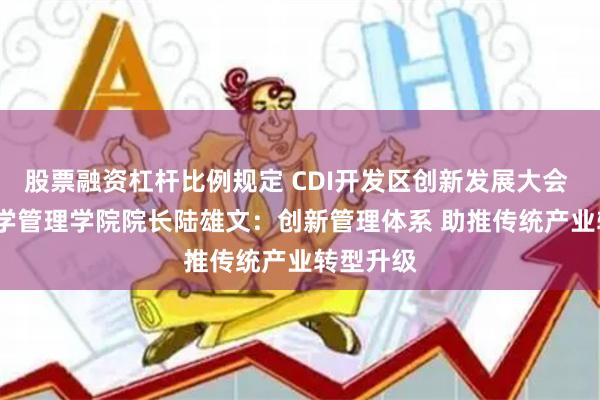 股票融资杠杆比例规定 CDI开发区创新发展大会 | 复旦大学管理学院院长陆雄文：创新管理体系 助推传统产业转型升级