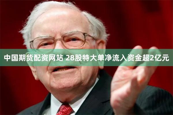 中国期货配资网站 28股特大单净流入资金超2亿元